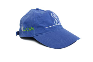Periwinkle Baseball Cap with Embroidered Awareness Ribbon