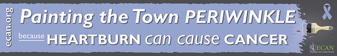 Paint the Town Periwinkle banner